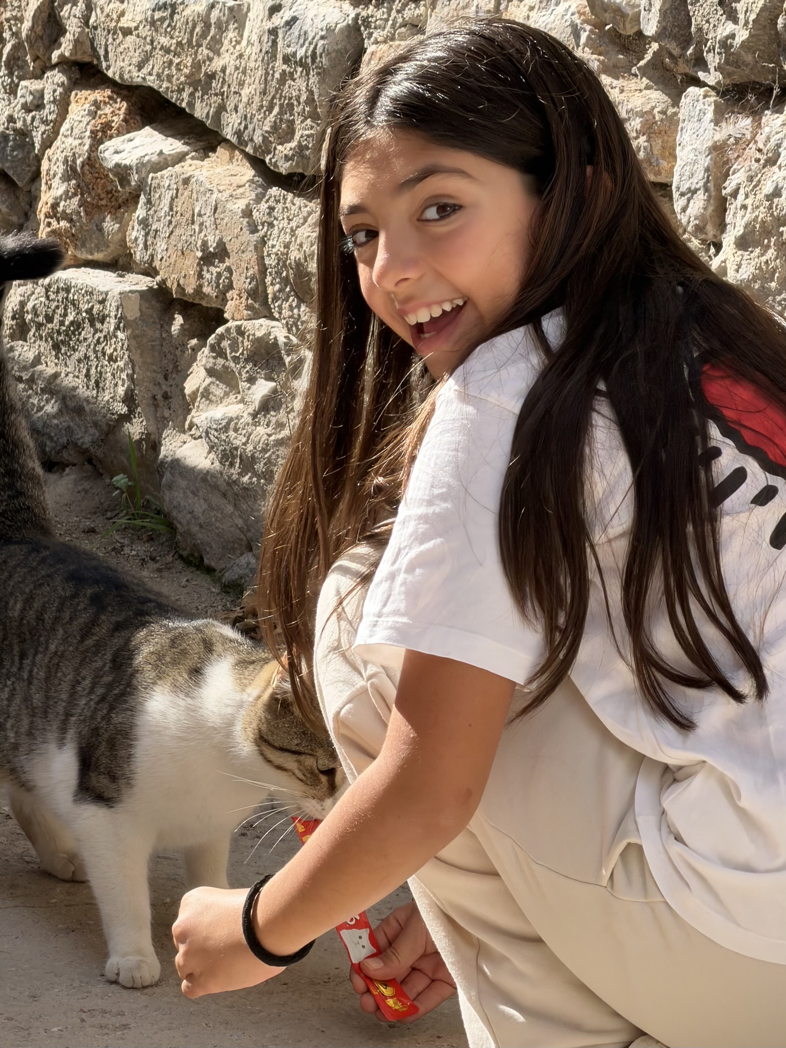 Ethos Vegan Retreat Imerovigli